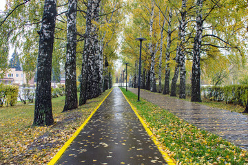 Wet bike path in the Park on a rainy day