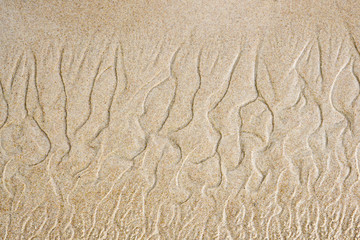 Result of wind and water game with sand at seashore