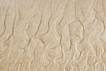 Result of wind and water game with sand at seashore