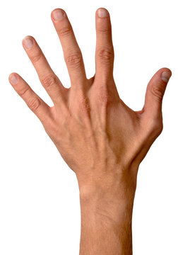 Open hand