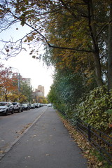 Road in a city block on an autumn day