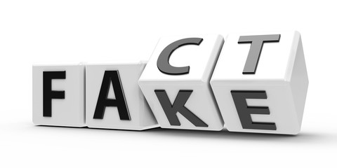 White cubes - Fact and Fake #2