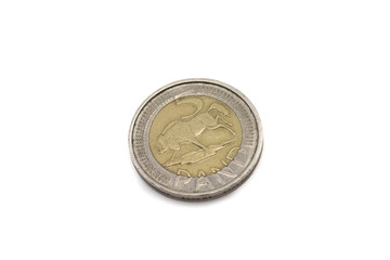 A bimettalic South African rand coin, shot close up in macro, isolated on a white background