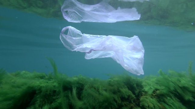Slow-motion, Plastic pollution, blue plastic bag drifting in shallow water, between green algae and the surface of the water. Underwater plastic pollution of the Ocean.  