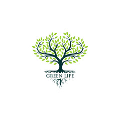 Green tree logo design