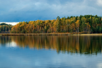 Autumn forest and lake with forest reflection