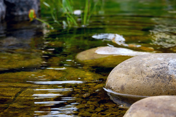 Beautiful nature. Background of a lake with stones.