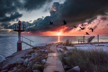 Fototapety na wymiar - Fototapeta24.pl