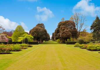 Spring in Kew botanical garden, London, UK