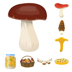 Vector illustration of fungus and food icon. Collection of fungus and fresh vector icon for stock.