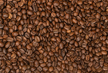 Dark brown whole coffee beans on wood background with copyspace