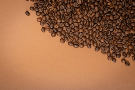 Dark brown whole coffee beans on wood background with copyspace