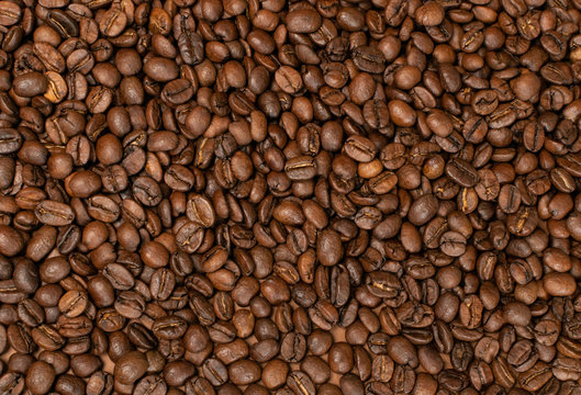 Dark brown whole coffee beans on wood background with copyspace