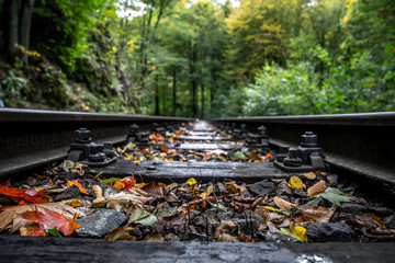 Bahngleisen in der Natur im Herbst - Nahaufnahme
