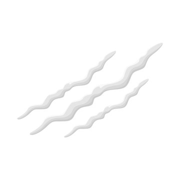 Vector design of track and cocain icon. Web element of track and powder vector icon for stock.