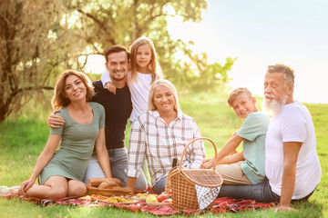 Big family having picnic in park