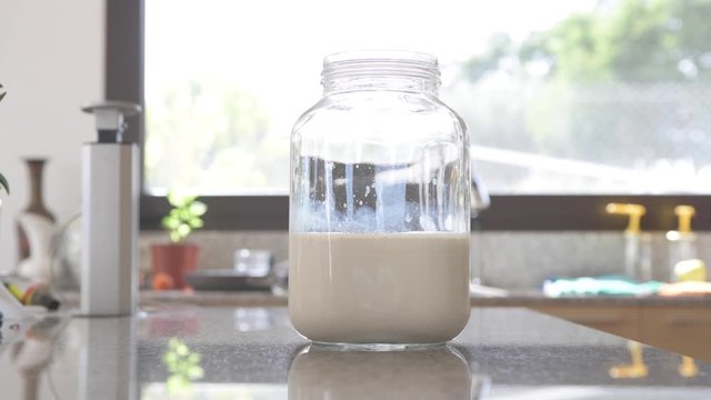 Daily preparation of milk kefir in the kitchen. A man puts kefir grains separated from finished kefir in a new milk container to make a new preparation of a health probiotic aliment. A superfood