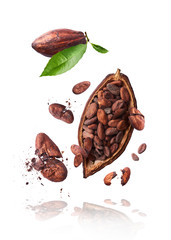 Fresh ripe coconut isolated on white background