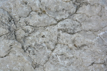 pietra