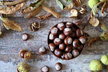 Chestnuts. A bowl of chestnuts. Leaves of a chestnut tree. Wood background. Selective focus.