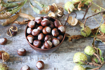 Chestnuts. A bowl of chestnuts. Leaves of a chestnut tree. Wood background. Selective focus.