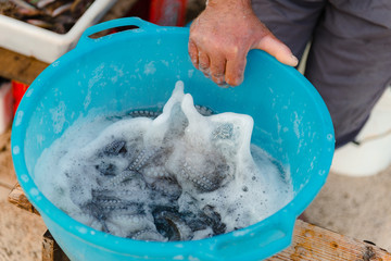 Bari, Puglia, Italy - 07 November, 2018: Fishermans cleans freshly caught fish, to be sold to...