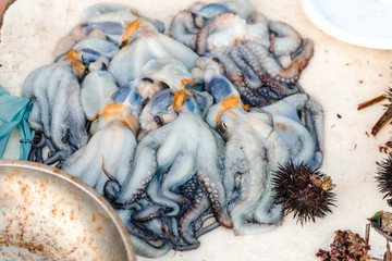 Freshly caught fish, sea urchin, oyster, cuttlefish, octopus on the market on the pier of St. Nicholas in downtown of Bari, Puglia region, Italy.