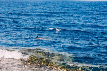 Fototapeta premium Scuba diving in the tropical sea, diving with masks