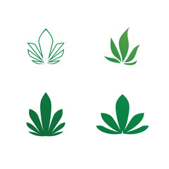 cannabis marijuana vector logo and design icon