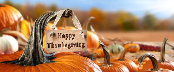 Pumpkin With Happy Thanksgiving Card Hanging From Stem And With Field Trees And Sky Background