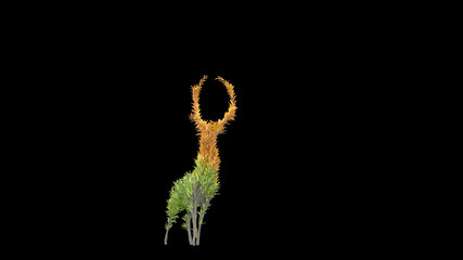 Growing Tree in a shape of a deer. Eco Concept. 3D rendering.