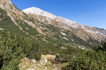 Fototapeta na wymiar Landscape with Vihren Peak, Pirin Mountain, Bulgaria