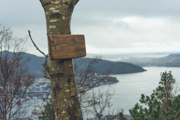 Lonely tree with wooden sign. Autumn in Norway.