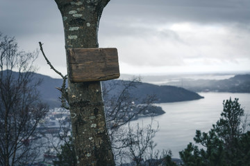 Lonely tree with wooden sign. Autumn in Norway.