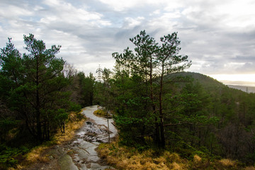 Obraz premium Beautiful norwegian nature. Mountain path. Green forest.