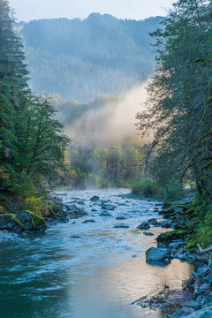 Close-up of Early Morning Mist over the Stillaguamish River with Fall Color along the Mountain Loop Highway in Washington State in October