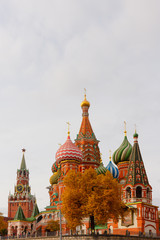 Fototapeta na wymiar Saint Basil’s Cathedral on Red Square of Moscow, Russia, Spassky (Savior’s) tower of the Kremlin in autumn. Vertical photo. Travel or tourism theme or decoration