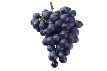 blue grape isolated on a white background. Food - obrazy, fototapety, plakaty