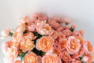 Roses of multicolor, pastel pink and pale orange color. Lots of buds. Floral natural backdrop. Flower shop concept