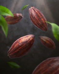 Cocoa pod flying in the air. Cracked cocoa pod and bean levitate on gark gray concrete background....
