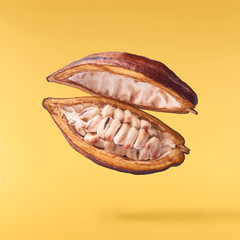 Fresh ripe coconut isolated on white background