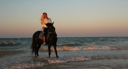 sexy woman on beach playing with white horse and enjoying the friendship