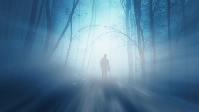 Man walking alone on foggy artistic forest path with mystic ray of light.