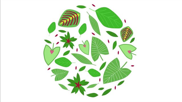 stop motion animated circle of tropical leaves. vector illustration