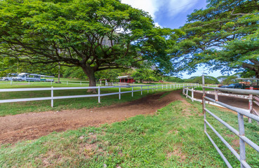 Horse Ranch in Hawaii