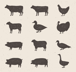 Animals silhouettes icons set. Cow, Pig, Sheep, Lamb, Hen, Duck, Turkey, Bull. Vintage farm animals silhouettes with stamp effect. Vector illustration