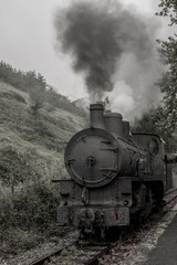 Old steam strain with a cloud of steam