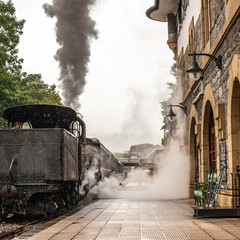 Old steam strain with a cloud of steam