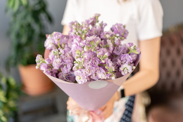 Spring floral. Fresh A bouquet of lilac Mattioli close up. Womens or Mothers Day Theme. Fresh cut flower.