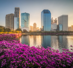 Lake with Purple Flowers in City Park under Skyscrapers at Sunrise. Benjakiti Park in Bangkok, Thailand